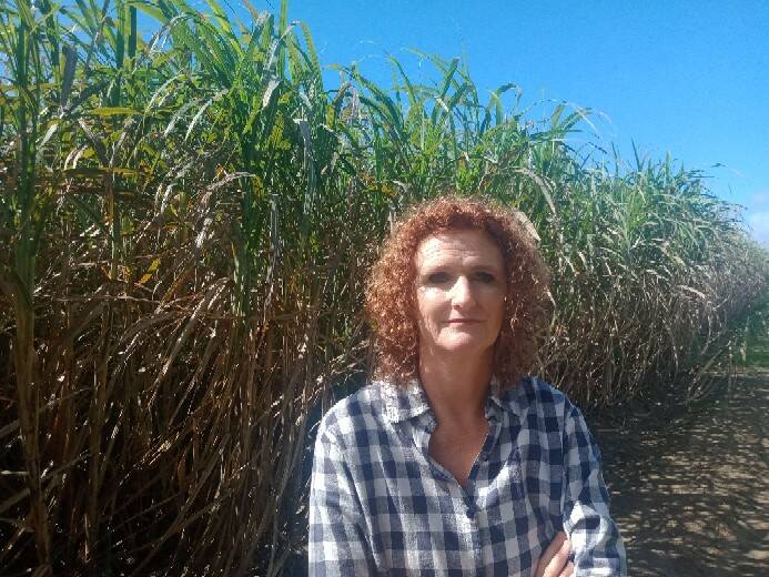 Grower advocate Judy Plath appeared before the Bundaberg hearing of the state government's select committee to examine increased supermarket prices and told of the "bully-boy tactics" she'd observed by the chain retailers. Picture: Supplied 