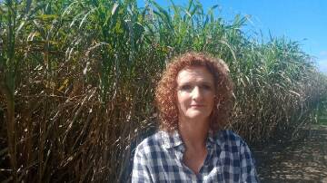 Grower advocate Judy Plath appeared before the Bundaberg hearing of the state government's select committee to examine increased supermarket prices and told of the "bully-boy tactics" she'd observed by the chain retailers. Picture: Supplied 