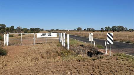 The Wild Dog Barrier Fence crosses the Landsborough Highway between Tambo and Blackall. Picture: Sally Gall