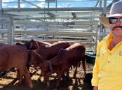 A pen of Brahman heifers offered by RC and CC Ferris of Goodwood red Brahmans sold for 294.2c/kg, averaging 207.5kg to return $610.47 per head, with Ray White Livestock Rockhampton agent Matthew Olsson. Picture supplied by CQLX 