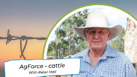 AgForce Beef24 seminar - see you there!