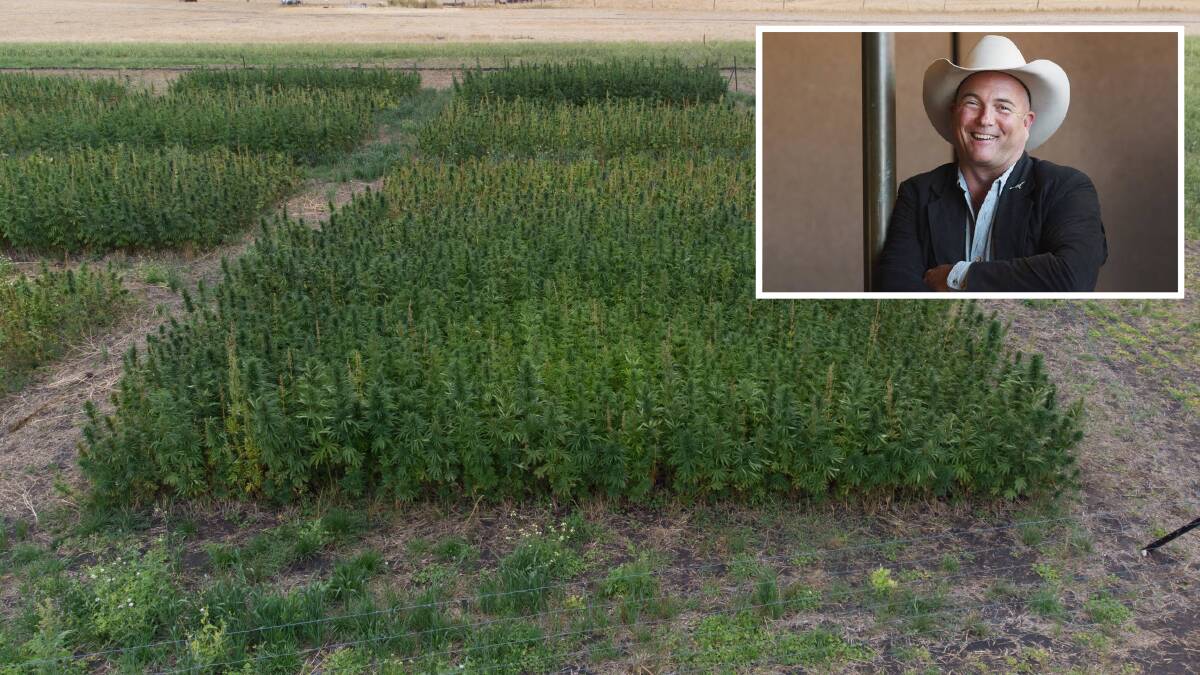 Queensland country music star James Blundell is growing industrial hemp at his property near Stanthorpe. Pictures AgriFutures, file 