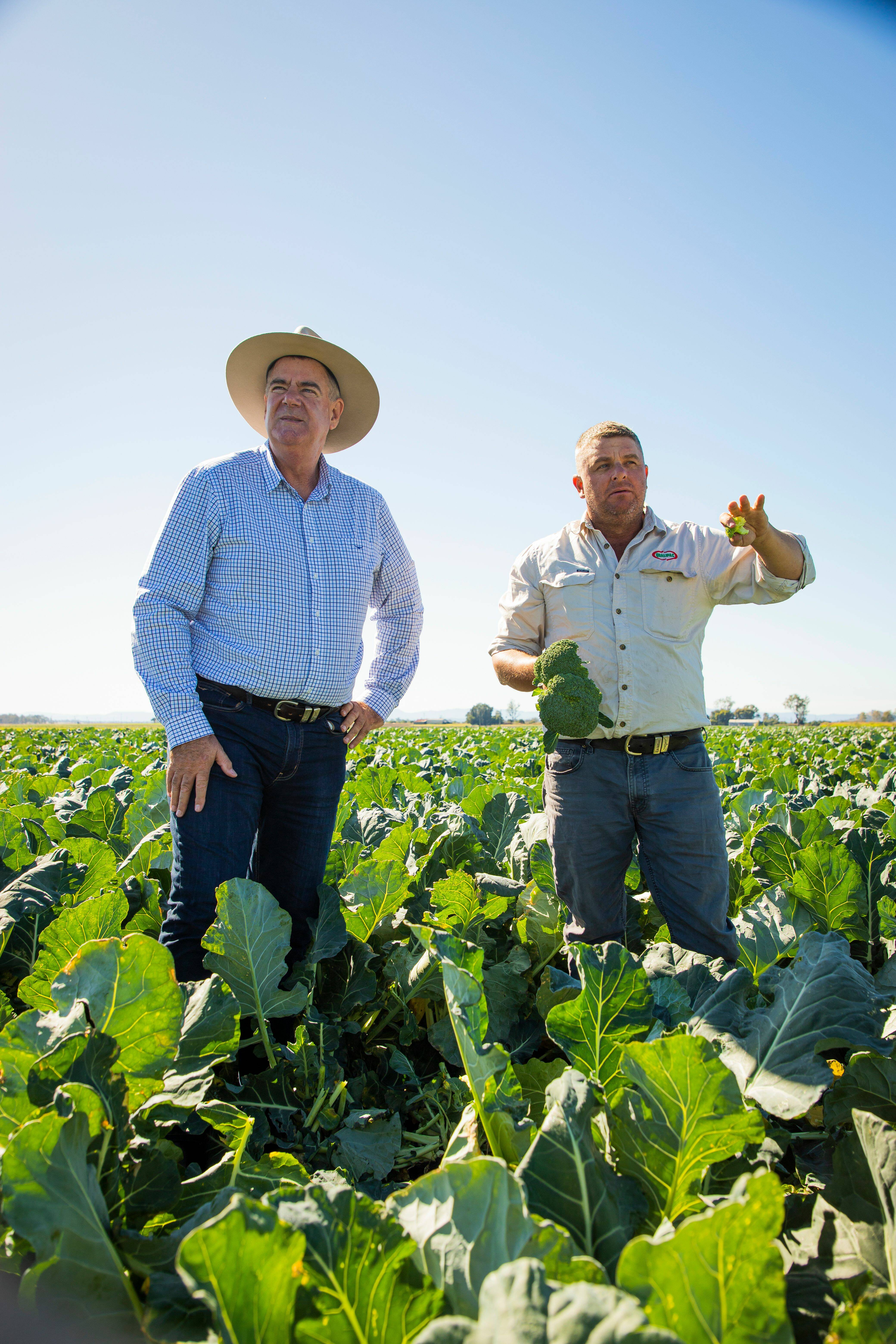 Queensland agriculture valued at record-breaking $23b, Queensland Country  Life