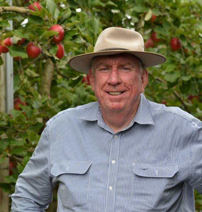 Southern Downs Regional Council councillor and senior horticultural consultant Stephen Tancred says the import of US apples is too risky. Picture Stephen Tancred
