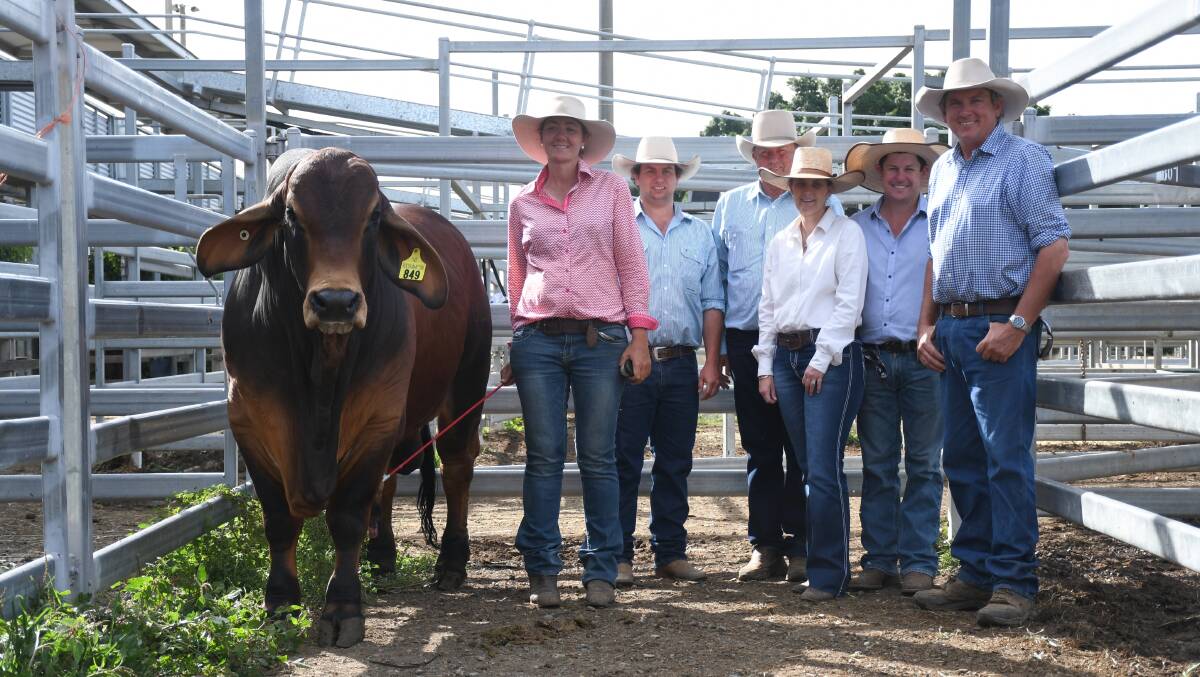 Fairy Springs Royal Flush with vendors Felicity and Joe Streeter, and buyers Isaac and Darren Kent, Ooline Brahmans, and Colin and Katrina Johnson, Jomanda Brahmans. 