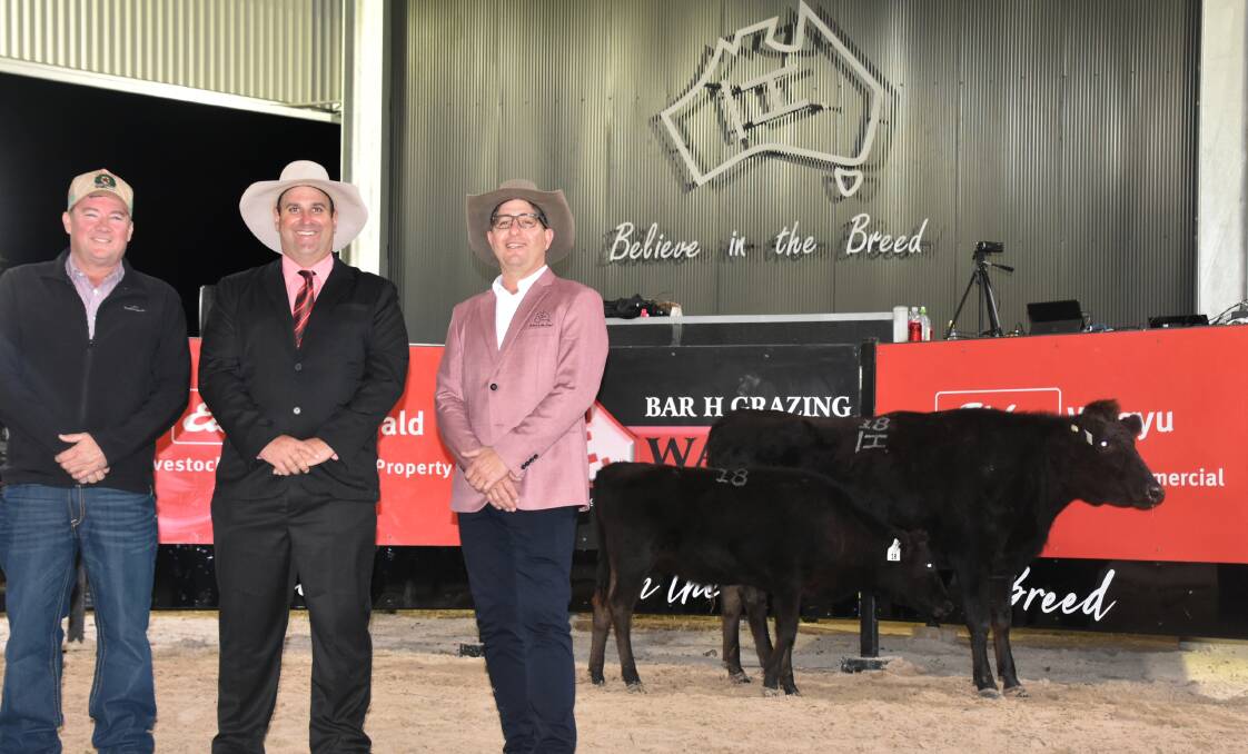 The second-top price lot of the sale, a PTIC cow and calf unit with buyer Tom Acton, Paradise Lagoons, auctioneer Anthony Ball, and Bar H's Que Hornery. 