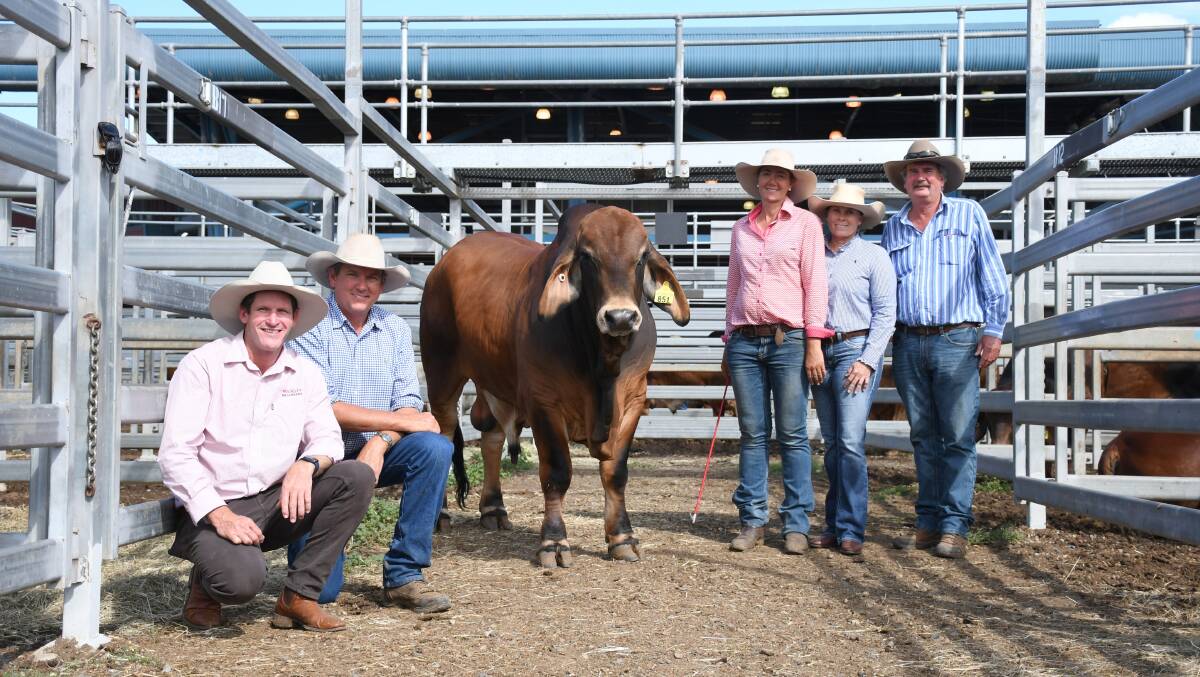 Fairy Springs Capitalist with vendors Joe and Felicity Streeter, Fairy Springs Brahmans, and buyers Ashley Kirk, Rockley Brahmans, and Leonie and Allan Trail, Elmo Brahmans. Pictures: Clare Adcock