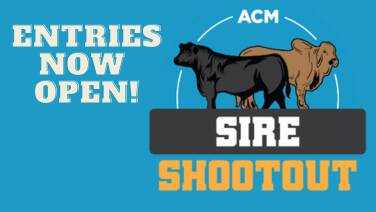 Get your bulls ready, Sire Shootout entries now open