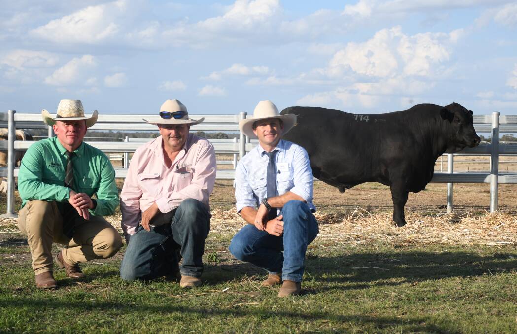 Nutrien agent Colby Ede, buyer Warren Miller, Hewitt Cattle, and Ben Noller, Palgrove, with the $80,000 Palgrove Sugar Ray. Pictures: Clare Adcock