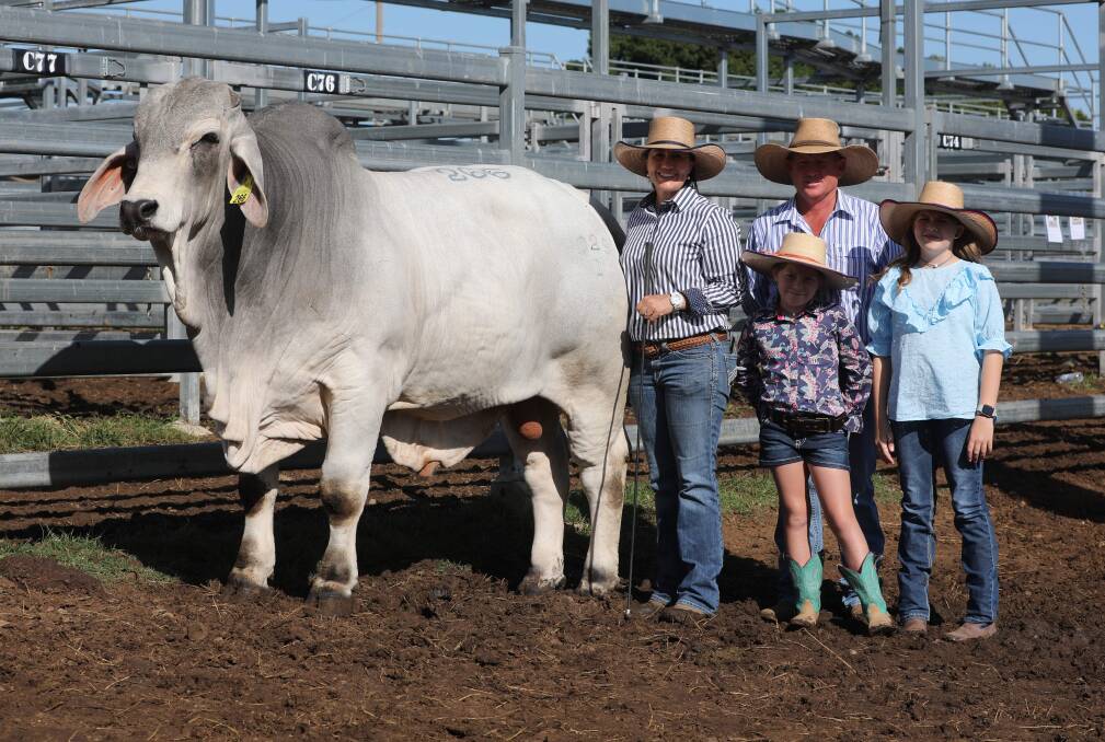 The Williamson family of Capricorn Brahman stud, Emerald, with their top selling bull Capricorn B Sydney. Picture: Kent Ward. 