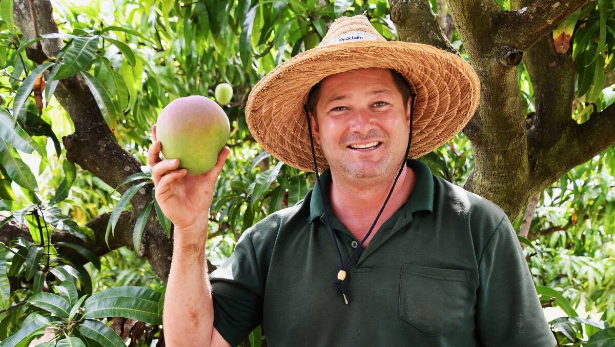 John Warren has been giving his mango crop away to get them out of the orchard. Picture: Brad Marsellos