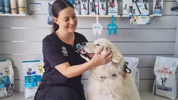 Dr Ang Yarrow wants animal owners to prevent paralysis ticks as a nationwide antiserum shortage hits Queensland vets. 