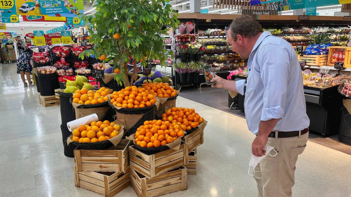 Citrus farmer Matt Benham captures his fruit on display in Thailand. Picture: Rachel Benham