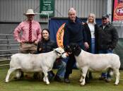 Auctioneer Ryan Bajada, Elders studstock, Meaghan and Adrian Veitch, Kaya Dorpers, Narrogin, WA, and Nicole and Ben Crozier, Willcania, with the top-priced White Dorper and Dorper rams. Picture by Rebecca Nadge