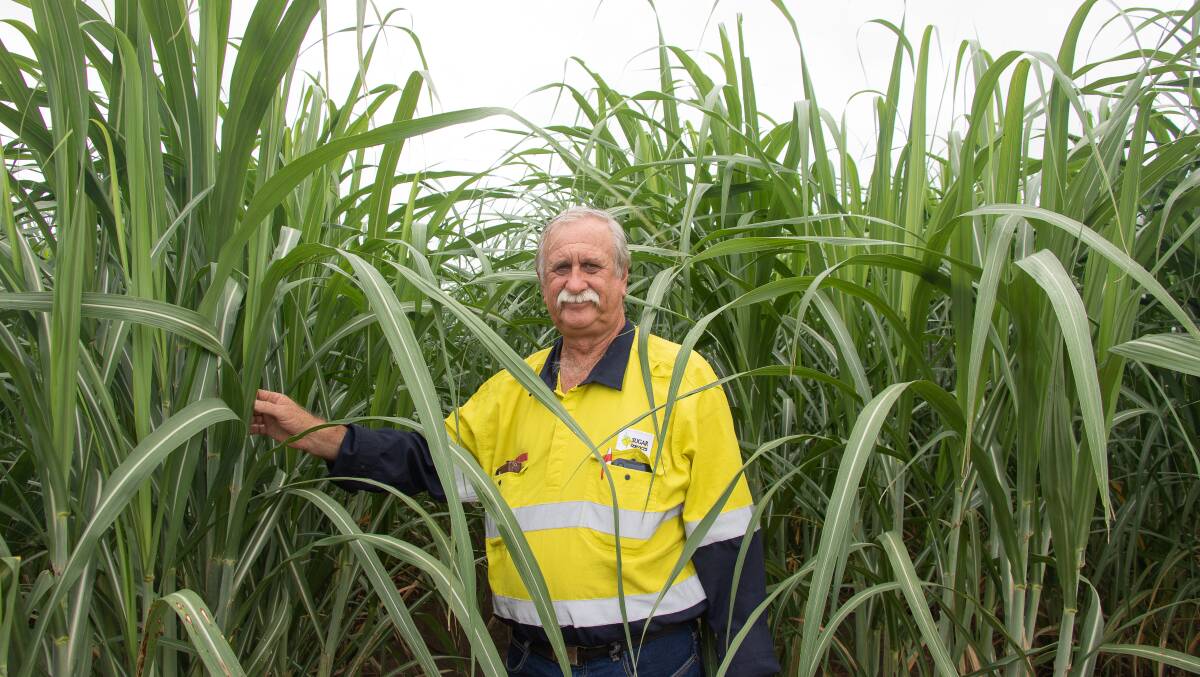 Michael Turner's 6-month contract to join a Fiji disease surveillance gang
in 1974 resulted in a 50-year-long career serving Bundaberg
sugarcane growers. Picture supplied 