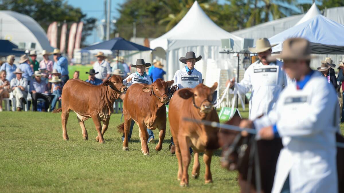 Some producers say they will not be attending Beef in 2027 if there are not changes made to ensure the event remains industry-focused. Picture by Lucy Kinbacher