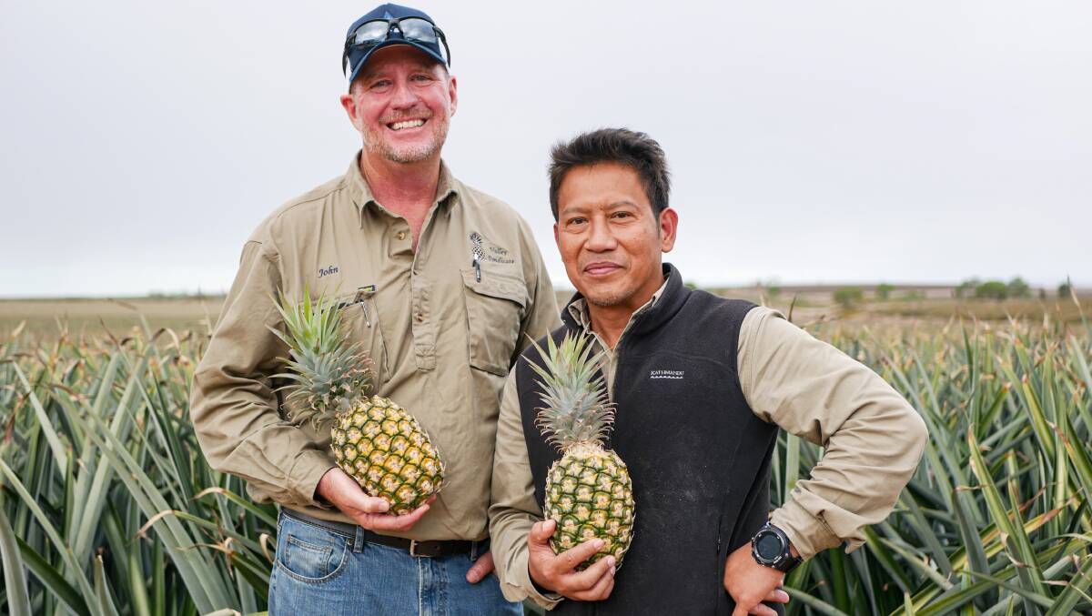 Pineapple grower John Cranny of Valley Syndicate with general manager and agronomist Neil Parami. Picture by Ellouise Bailey 
