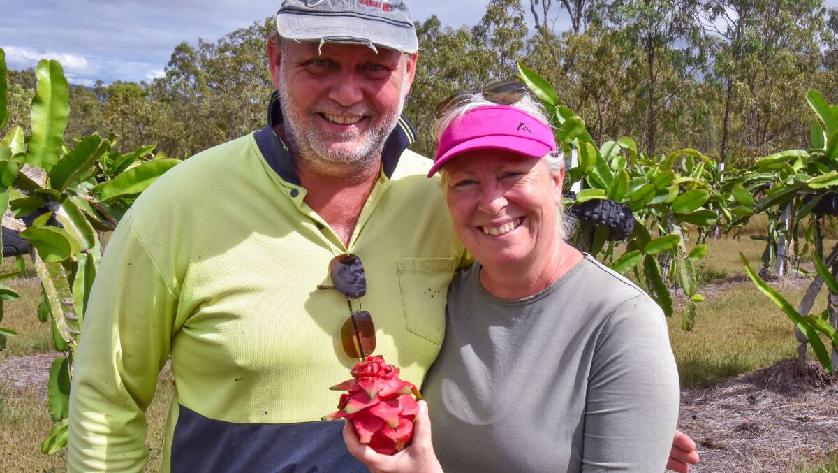 Lena and Per Andersen started growing Dragon Fruit near Mareeba just over 5 years ago. Picture Phil Brandel