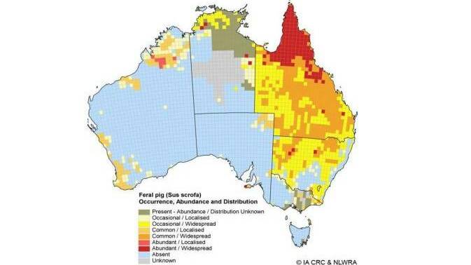 There's still no accurate figure as to how many feral pigs are actually in Australia. Map - IA CRC and NLWRA