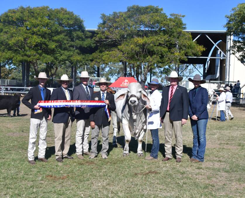 Supreme Champion Bull at the Rocky Show was Raglan Nathan. He is pictured with judges Zac Connor, Steve Farmer, Dawson Jones, Stewart Borg, handler Aimee Olive, sponsor Elders Stud Stock Rockhampton's Mark Scholes and judge Gracie Dolinski. Picture: Judith Maizey