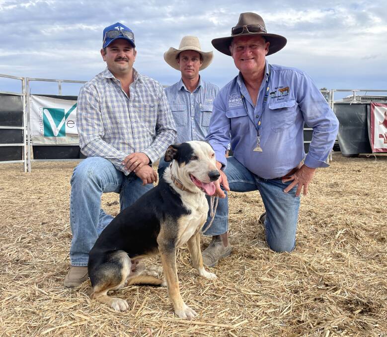 Top selling working dog, Billeric Troy, with buyer Keegan Green, GDL's Will Hogan and vendor Dave Moxon at Ag-Grow. Picture: Judith Maizey