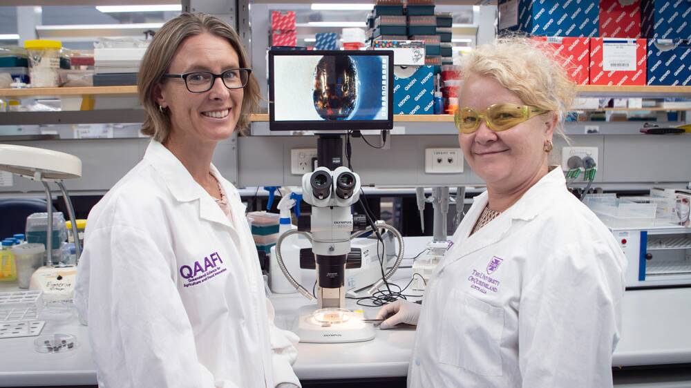 UQ's Dr Hannah Siddle and Professor Ala Tabor in the laboratory. Picture supplied by UQ