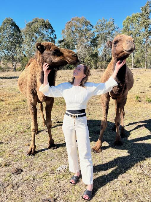 Aimee Carding who co-owns Skyline Farm with her life and business partner Cameron Crouch, pats the camels which are rotated with cattle in paddocks on their west Scenic Rim property. Picture: Supplied