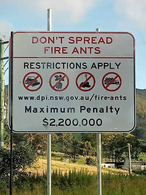 Visitors to and from NSW to the Killarney Show are made aware of the fines for spreading RIFA south of the Queensland Border. Picture: Supplied