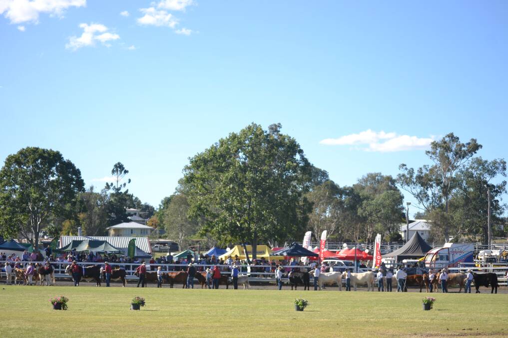 Owners of livestock exhibited at the Boonah Show must sign a disclaimer to confirm they are not bringing in any hay or fodder contaminated by RIFA and they will also remove it safely afterwards. Picture: Supplied. 