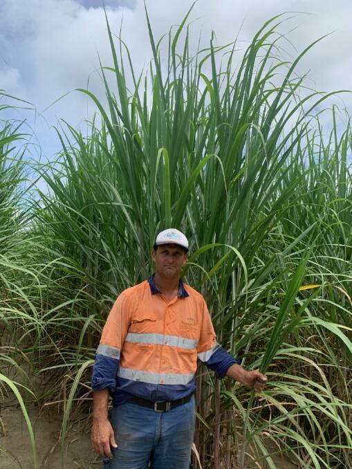 Canegrowers Mossman director Scott Fasano said local farmers were very worried about the $30 a tonne transport costs to get their sugar cane processed in Gordonvale after the Mossman mill had closed. Picture: Supplied 