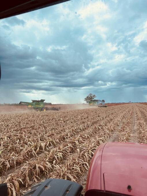Leigh Burke has a crew of six in his team from Victoria working on the sorghum harvest near Toobeah. Picture: Supplied