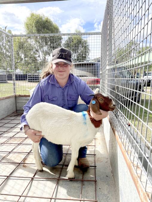 Indiana blanch with one of the goats purchased by her parents Nadine and Roger Blanch and with which said she hoped to enter into some local ag shows this year. Picture: Alison Paterson 