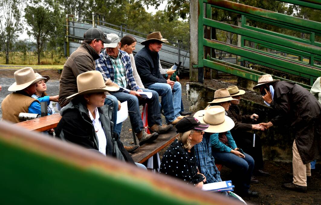 Despite the consistent rain there were good crowd numbers in attendance at the Ipswich Show prime cattle judging at Moreton Saleyards. Picture: Kelly Mason