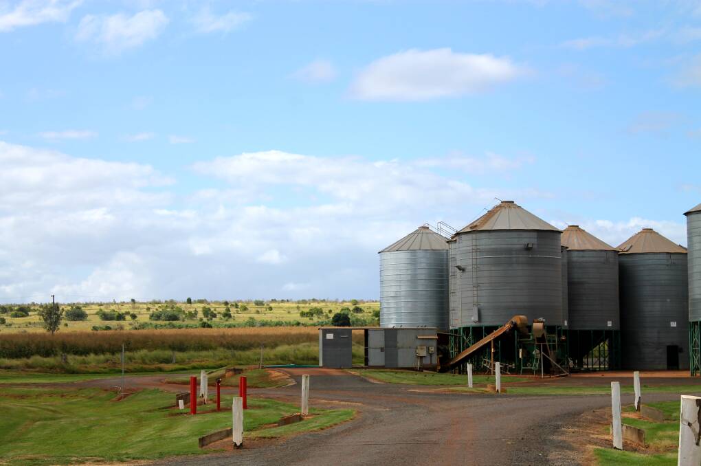 The Crumptons grow and process peanuts at their Kingaroy site. Picture by Kelly Mason