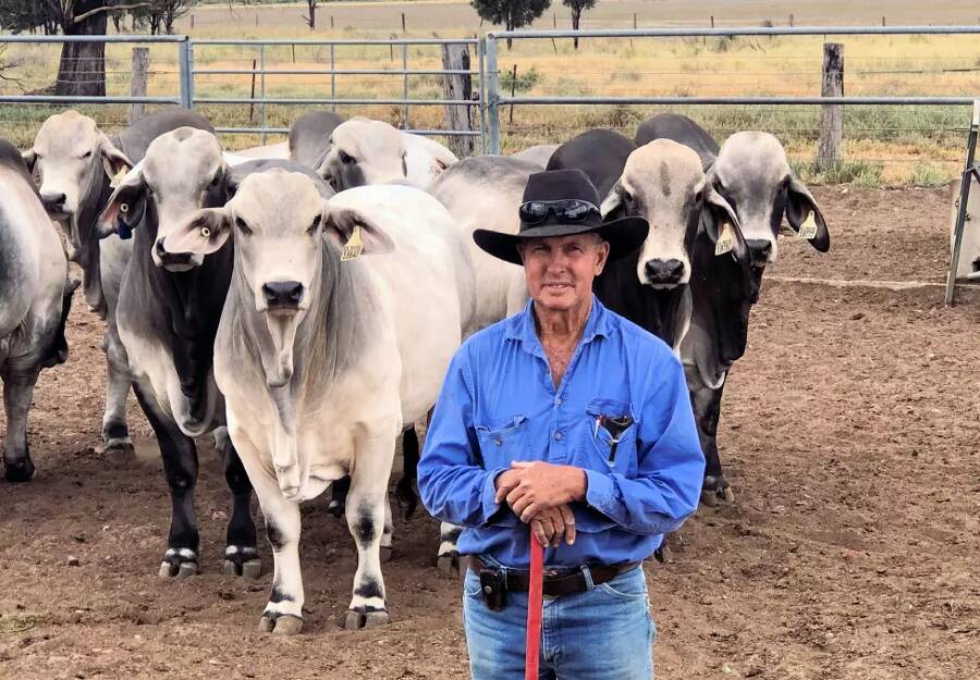 Cattle producer Rodger Jefferis, Elrose Brahmans, Brigalow station, Theodore. Picture: File