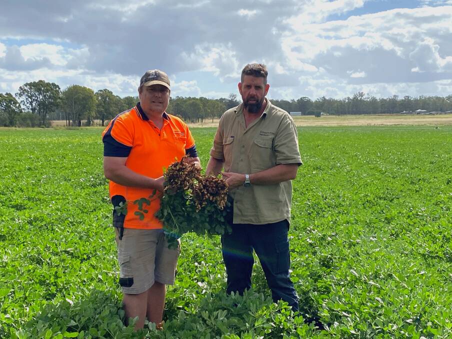 Crumptons general manager Daniel Cook and CEO Sonie Crumpton, holding their new variety, Pickering, on their property in Kingaroy. Picture by Kelly Mason 