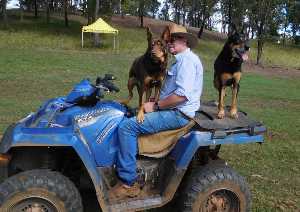 Renown Queensland Kelpie breeder and trainer Peter Austin will disperse
Working Kelpies of Kirkcaldy after 48 years of selling dogs throughout Australia
and the world. Image courtesy Austin family

