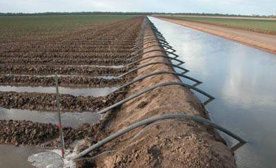 US investors buying into part of Rural Funds Group's irrigated property portfolio. File photo.