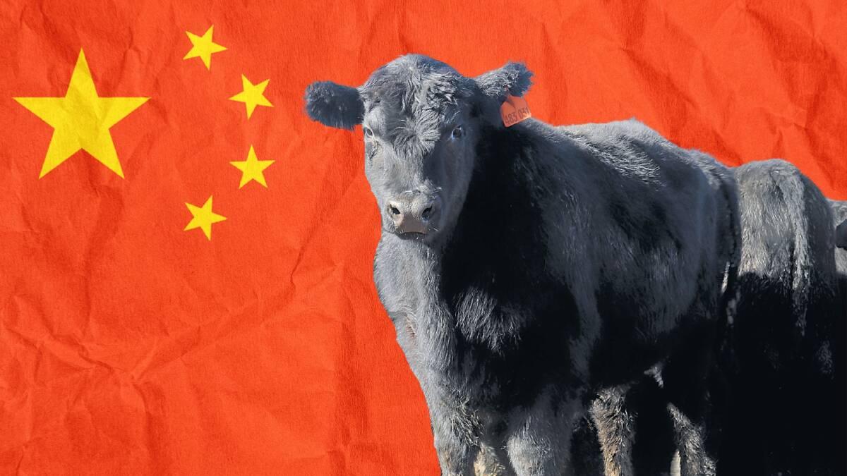 New beef exporter granted licence to supply China