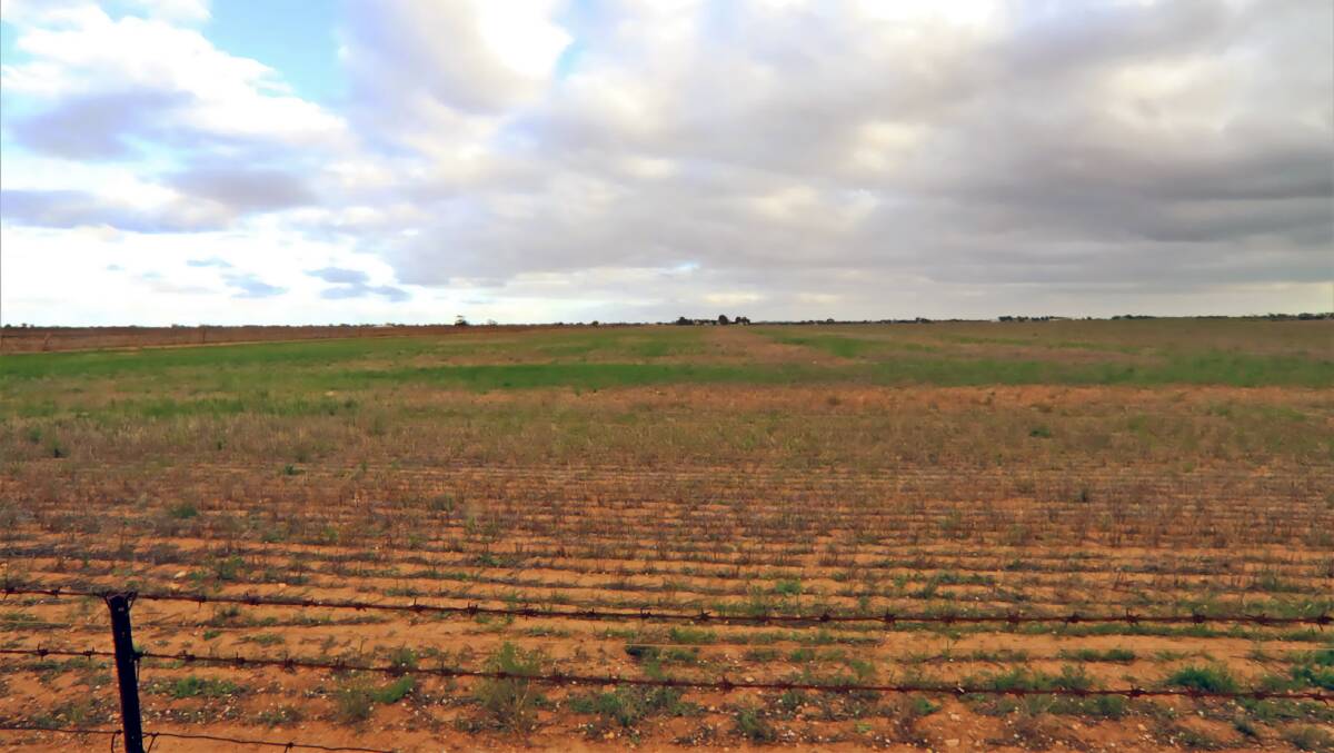 This lonely little YP cropping block has sold for $150,000. 