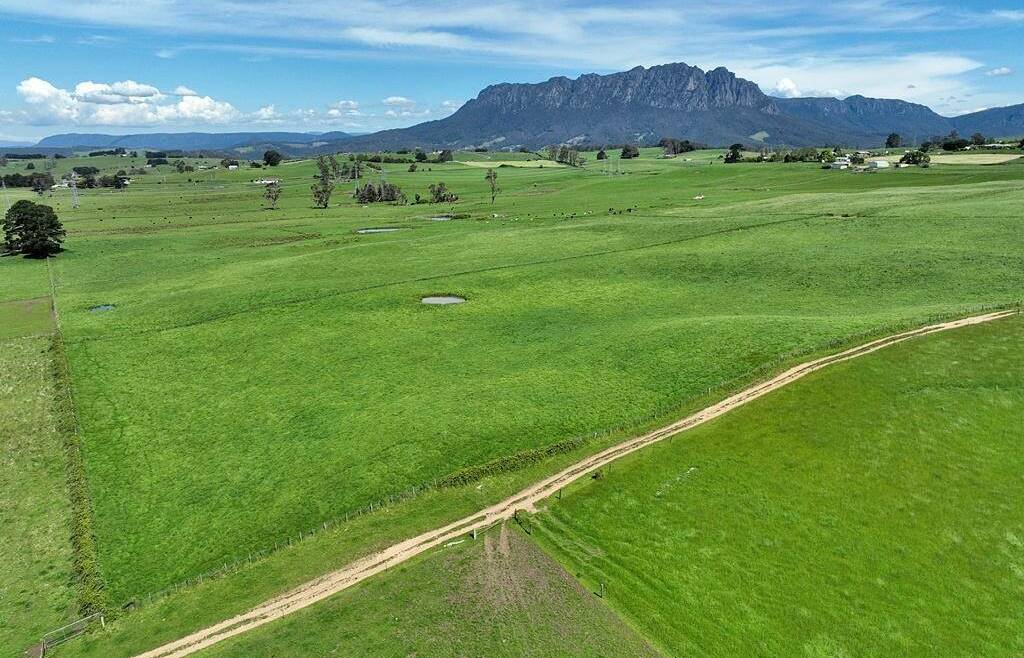 Two farms have become one with lush grazing on offer in northern Tasmania.