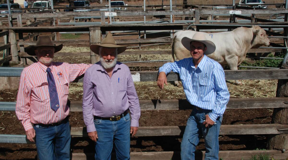 Top priced bull Clare Little Awesome sold for $14,000 to Errol Otto with Top X's Tony Pearce and Alan Goodland.