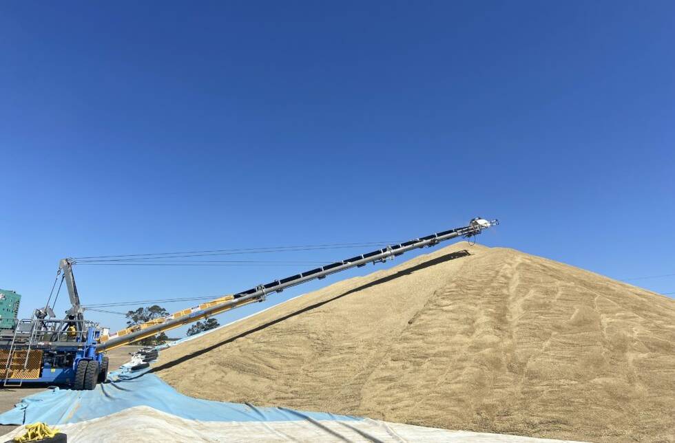 GrainCorp has come under criticism for its wheat receival options, along with the amount of sites receiving barley. 