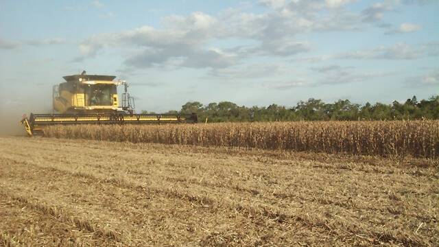Soybean producers are gearing up for harvest. Photo supplied.