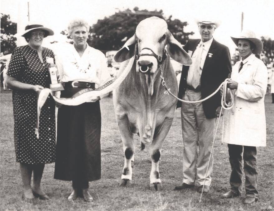 1991 Apis Creek Godfrey, exhibited by Maureen Olive and family's Apis Creek Stud wins Supreme Interbreed Champion at Beef '91. Picture supplied