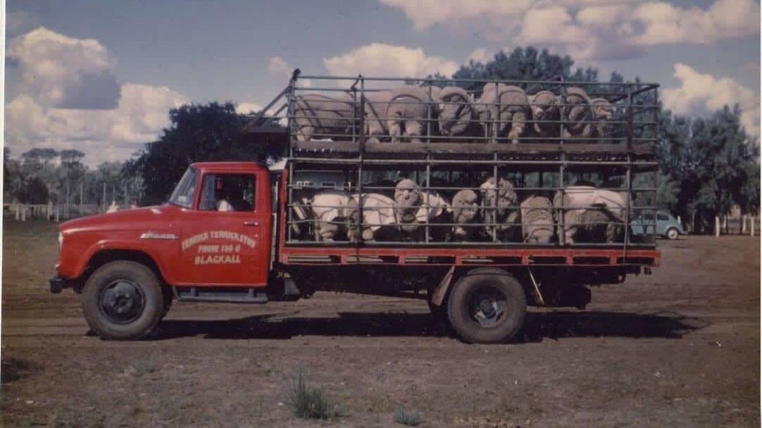The first Gowan Poll Merino Stud show team loaded up for the 1965 Blackall Show. Picture: Ken Riley