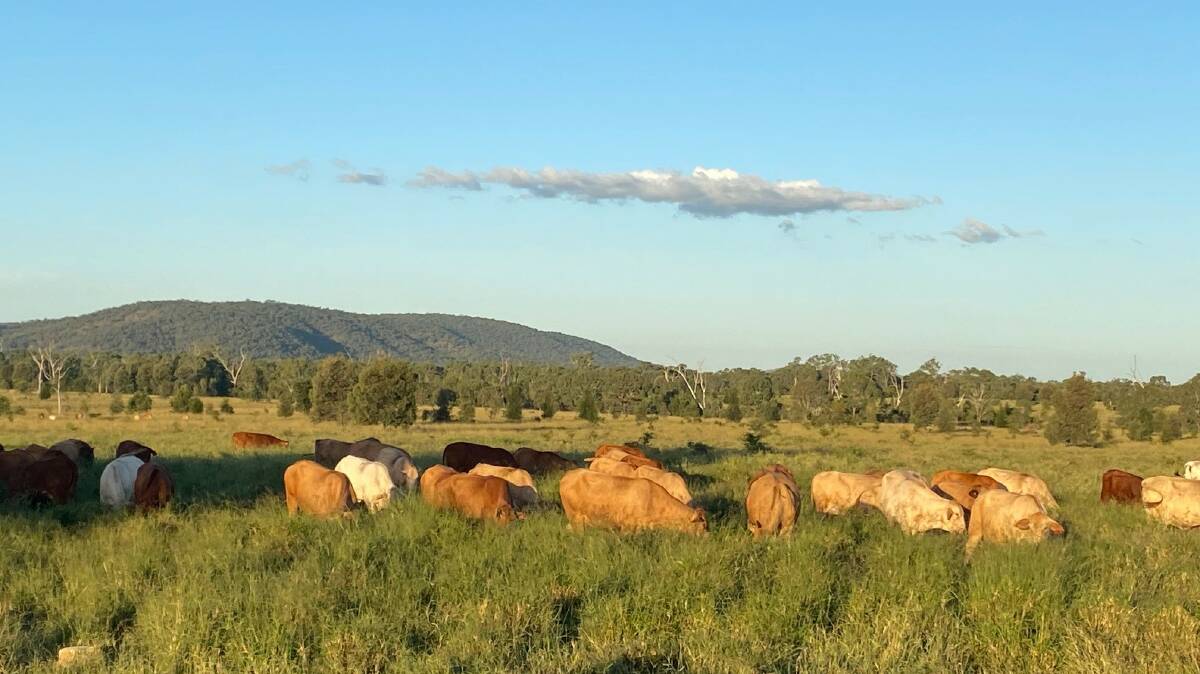 The landscape around Morinish in central Queensland. Picture: Supplied
