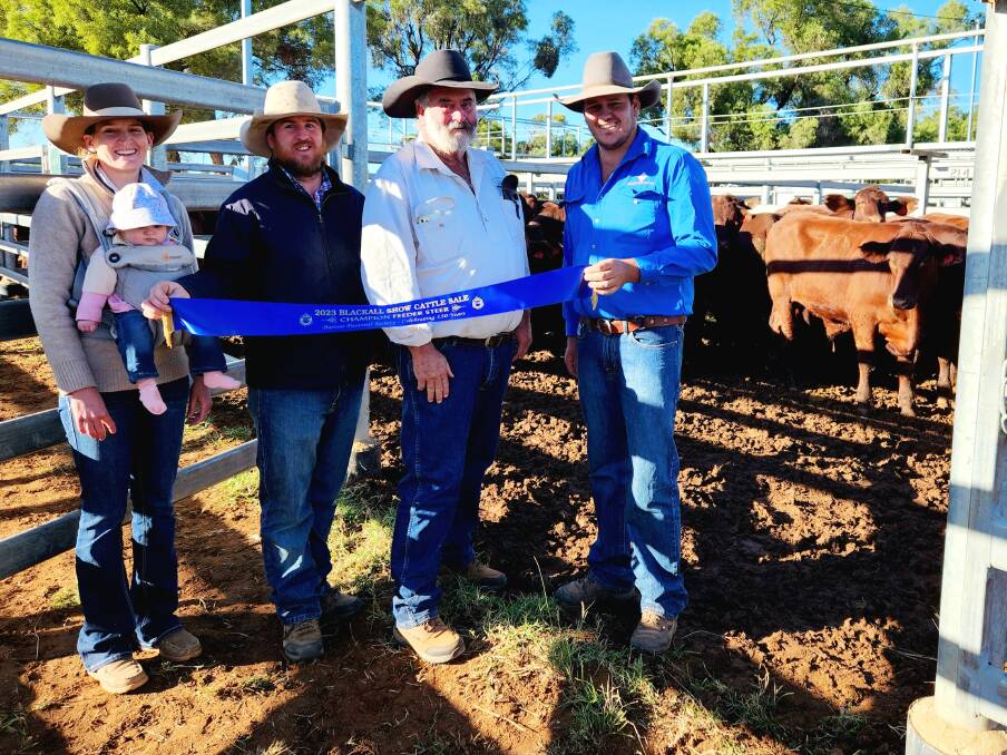 Jess, Bridie and Kelly Davidson, Gordon Davidson and Mark Wemyss with the champion pen of feeder steers at the Blackall Show sale. Picture: Sally Gall