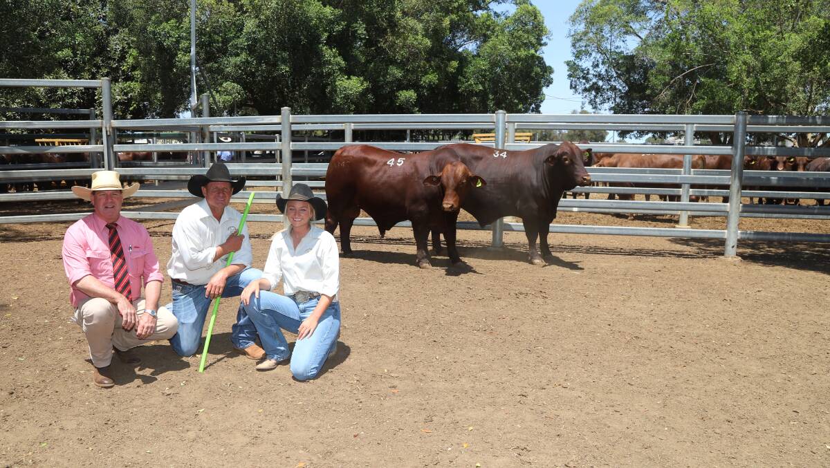 Elders stud stock representative Michael Smith with Drensmaine's Matt Sargood and daughter Stephanie Sargood, and the two top priced bulls. Picture: Sally Gall