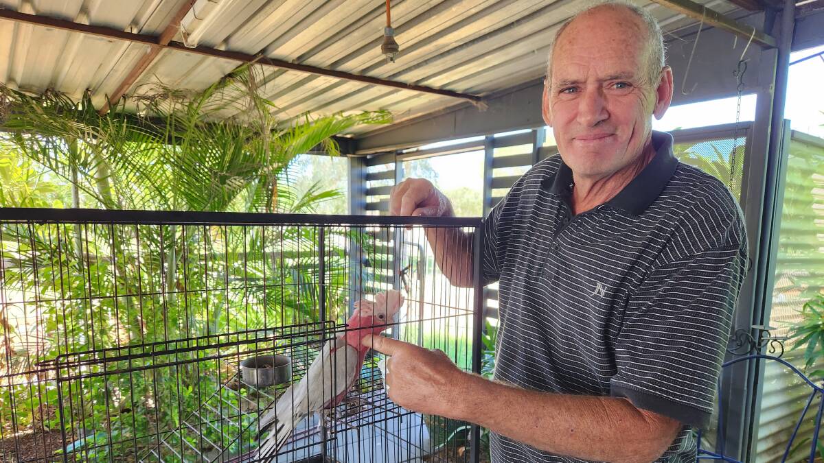 Des Harry and his galah Percy, at home in Blackall. Des is looking at moving away, thanks to the revolving door of doctors. Picture: Sally Gall